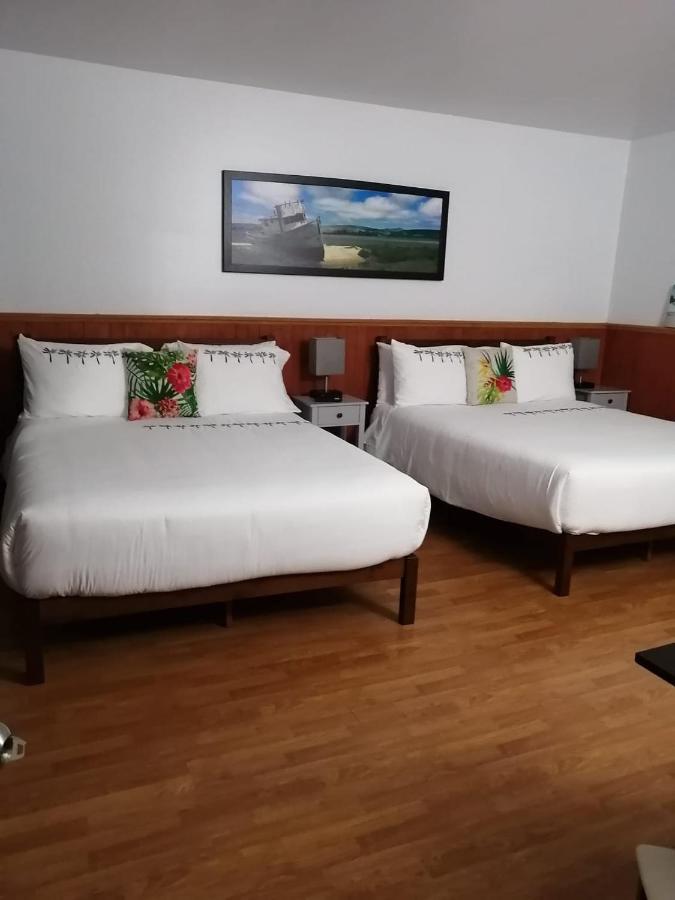 Hotel Fleurs Karaibes Saint-Alexandre-de-Kamouraska Ngoại thất bức ảnh