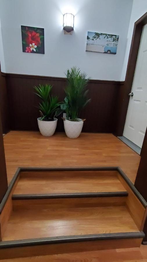 Hotel Fleurs Karaibes Saint-Alexandre-de-Kamouraska Ngoại thất bức ảnh